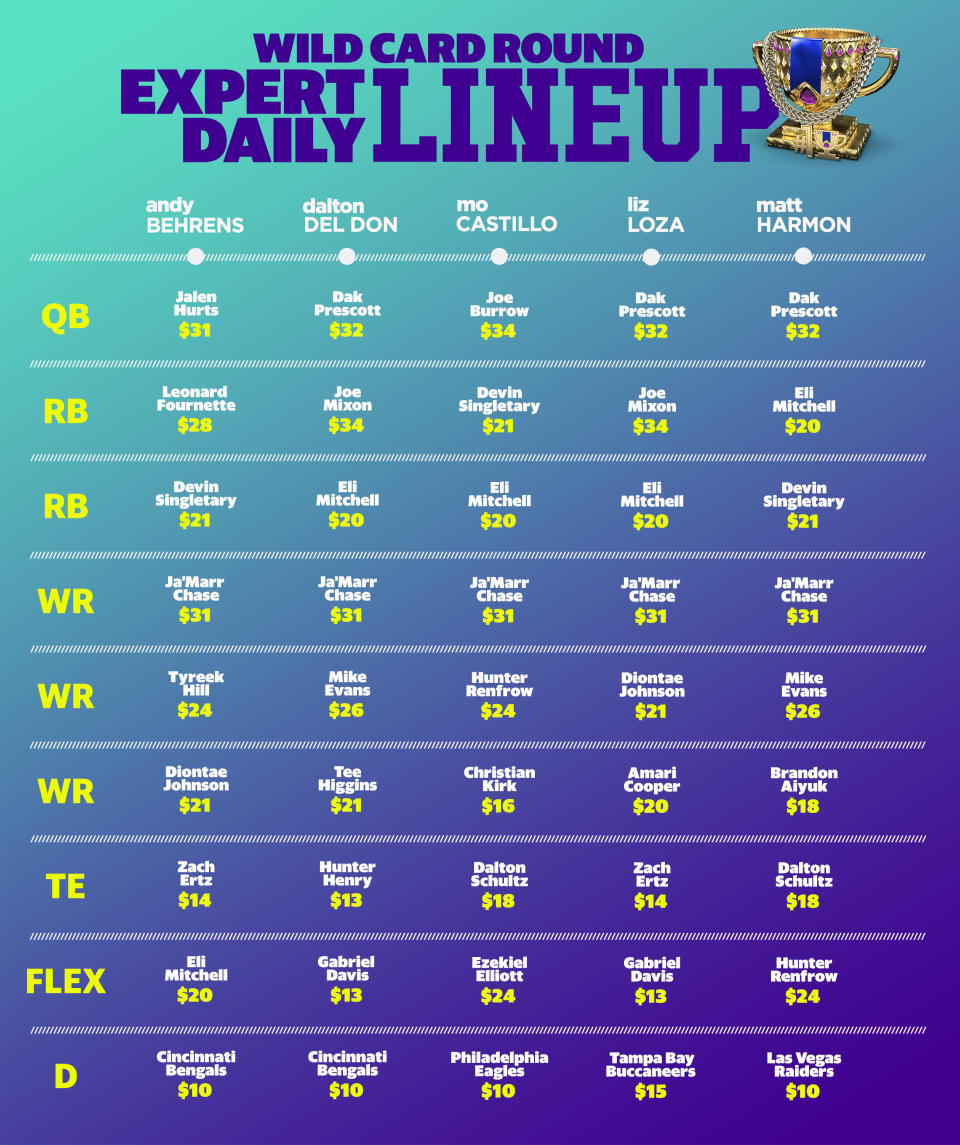 NFL Wild Card Round Expert Daily Lineup.