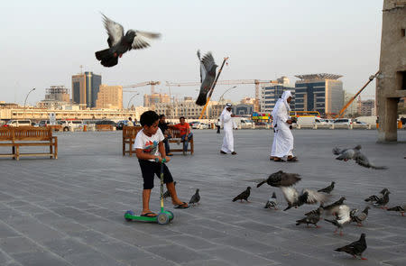 Pigeons are seen as a boy plays at Souq Waqif market in Doha, Qatar August 30, 2016. REUTERS/Naseem Zeitoon