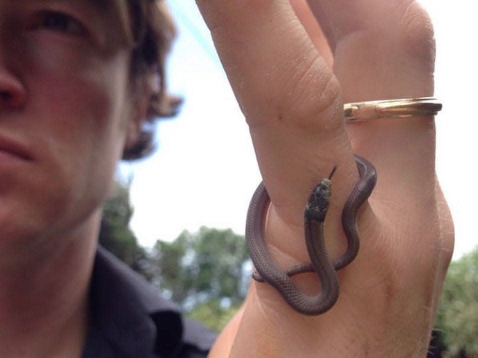 Man holding a baby snake on his hand