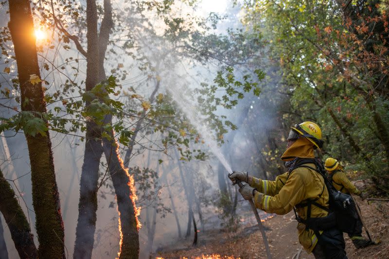 FILE PHOTO: Fireman sprays water onto trees after firing operation near Glass Fire in Calistoga, California