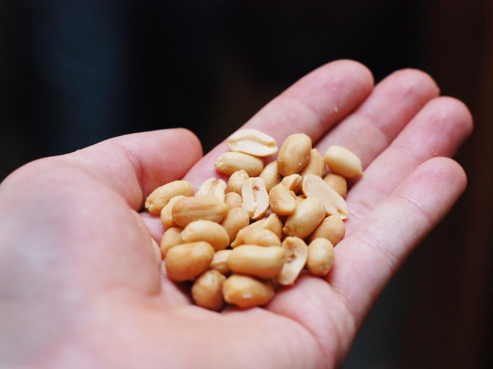 A man holds peanuts in his hand.