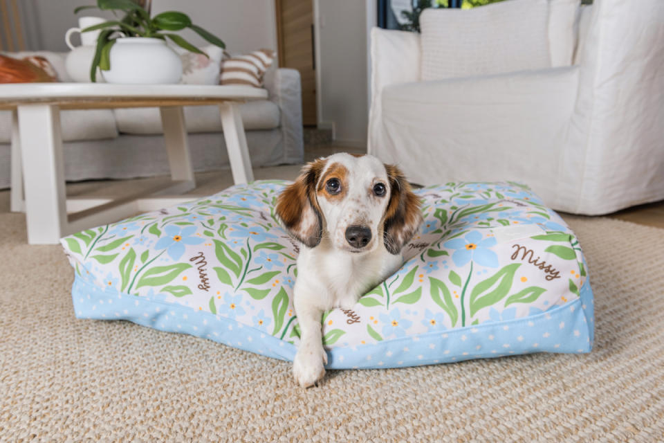 Dog on Fuzzhouse bed