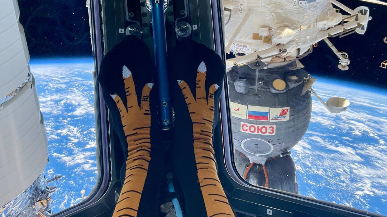  A window view of earth. at right is a soyuz spacecraft. in the center are black socks near the window, with turkey feet on them. 