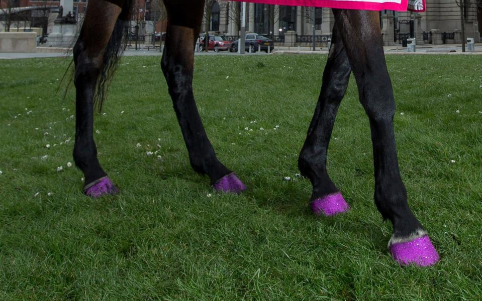 pink feet - Credit: Mane Match