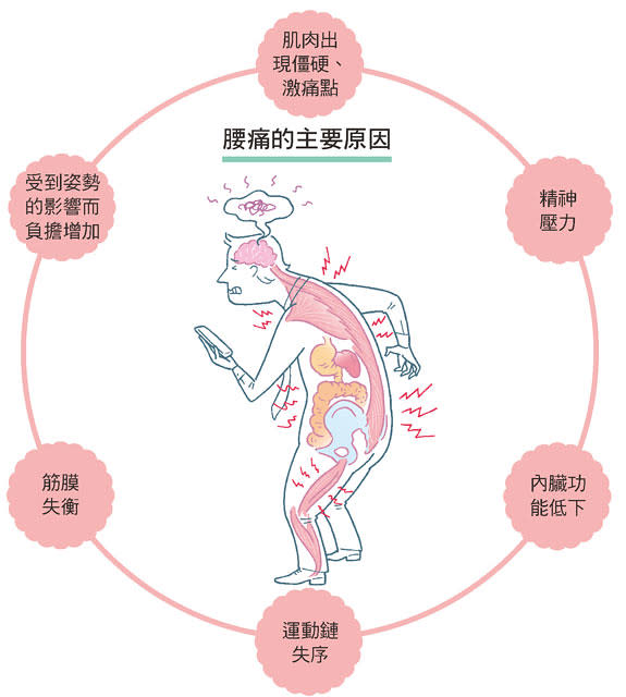 抓捏腰筋膜，導正骨盆歪斜