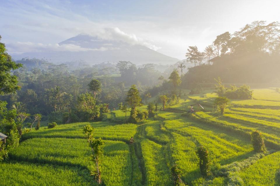 April falls in Bali’s shoulder season (Geio Tischler)