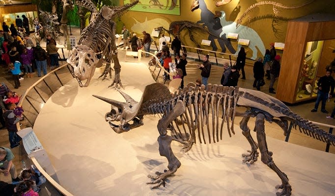 The Cleveland Museum of Natural History will host special activities on New Year's Eve. [Cleveland Museum of Natural History]