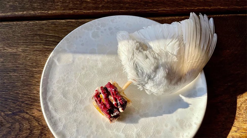 Bocado de pechuga de perdiz rojo escarlata (un ave que se encuentra en los climas montañosos del norte) ensartados con un hueso de ala de plumas blancas.