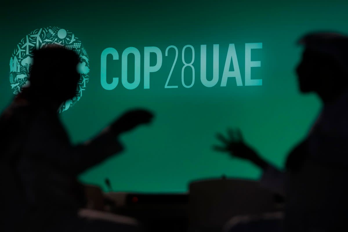 We’ll be brining you a daily update from Cop28  (Copyright 2023 The Associated Press. All rights reserved.)
