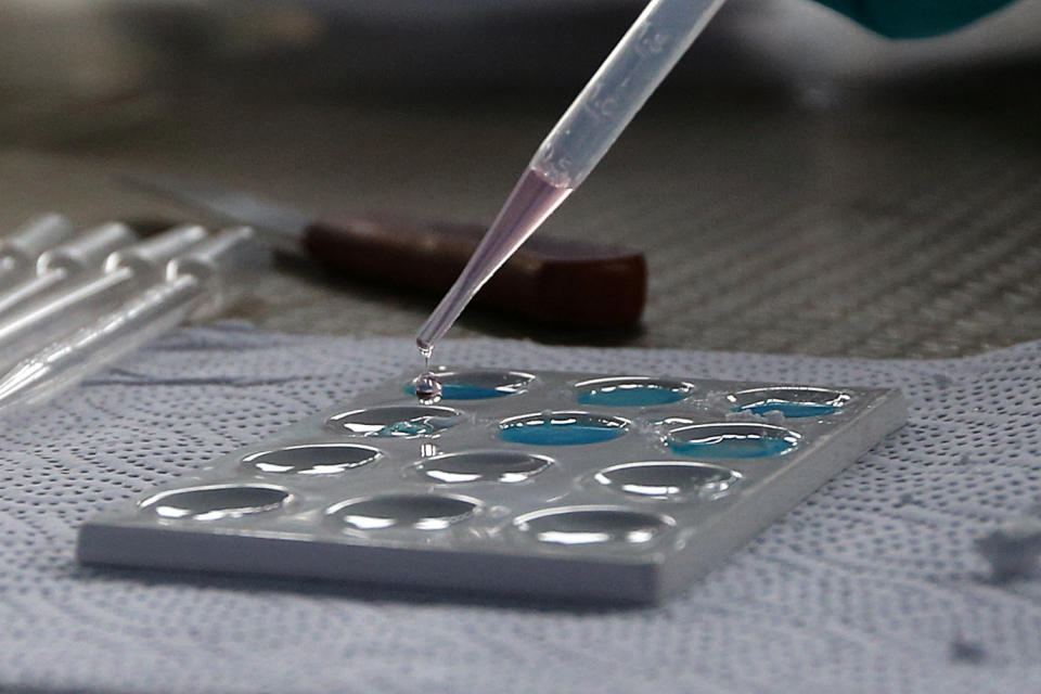 An anti-narcotic worker tests cocaine before the incineration of about 14 tons of drugs seized during police operations, according to the Interior Ministry, in Lima, Peru November 22, 2017. REUTERS/Guadalupe Pardo