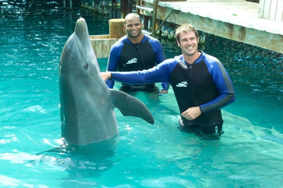 En esta foto de archivo, los ex jugadores de fútbol americano de los Miami Dolphins, A.J. Feeley (quarterback) y Brendon Ayanbadejo (linebacker), participan en una sesión especial de nado con delfines en Flipper Lagoon de Miami Seaquarium.