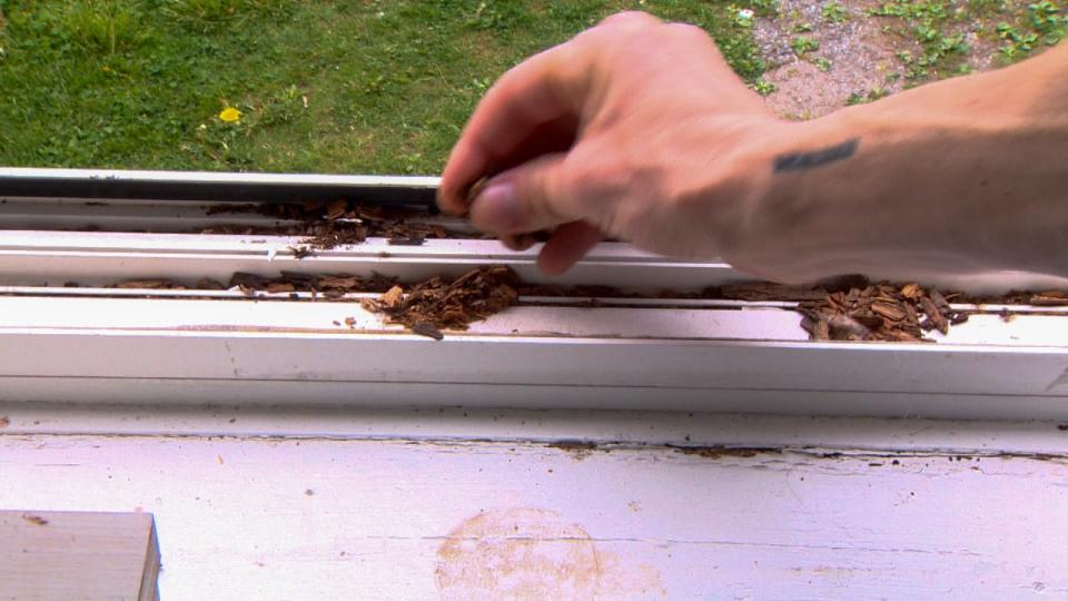 Cory Hamilton shows the rotten wood that keeps collecting on the window ledge in his bedroom. 