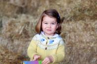 <p>The Palace released an adorable photo of Charlotte, taken by her mother at Amner Hall in Norfolk, to mark her second birthday.</p>