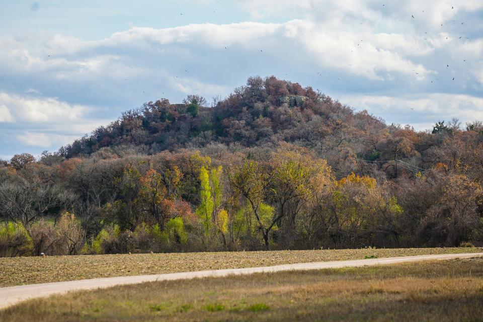 Sugarloaf Mountain, or Red Mountain, a tall, conical hill of red sandstone, is sacred to the Tonkawa. Because of the trees, it's hard to see at its base, but head out across the Little River to the fields beyond, and it's unmistakable.