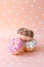 <p>The only things better than donuts are adorable mini pumpkins that <em>look </em>like donuts. </p><p><em><a href="http://www.studiodiy.com/2013/10/24/diy-donut-pumpkins/" rel="nofollow noopener" target="_blank" data-ylk="slk:Get the tutorial at Studio DIY »;elm:context_link;itc:0;sec:content-canvas" class="link ">Get the tutorial at Studio DIY »</a></em></p>