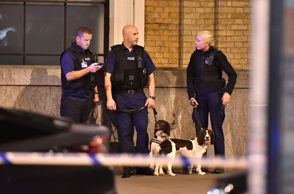 <p>Police sniffer dogs on London Bridge as police are dealing with a “major incident” at London Bridge. (Dominic Lipinski/PA Images via Getty Images) </p>