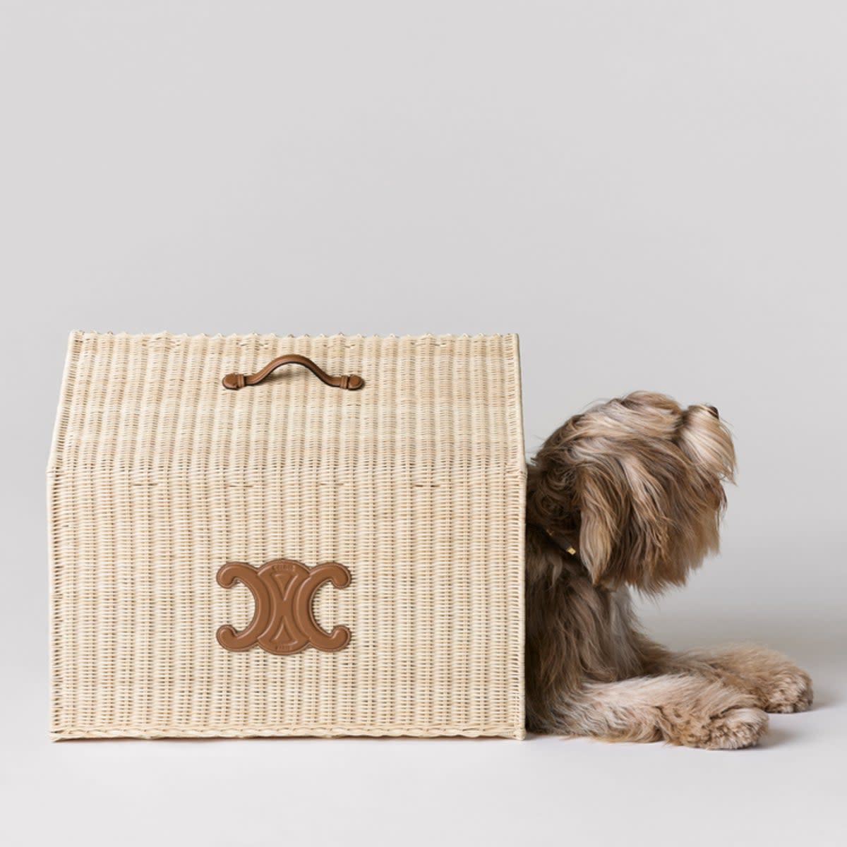 Hedi Slimane's dog Elvis in the new Celine dog accessories collection  (Celine)