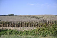 This Monday, Sept. 27, 2021, photo, shows a 1,551-acre field which will become the site of of a joint venture with Ford Motor Company and SK Innovation to create the $5.8 billion BlueOvalSK Battery Park in Glendale, Ky. The dedicated battery manufacturing complex is intended to supply Ford's North American assembly plants with locally assembled batteries. (AP Photo/Timothy D. Easley)