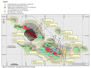 Surface Map – Monique Gold Trend new drilling