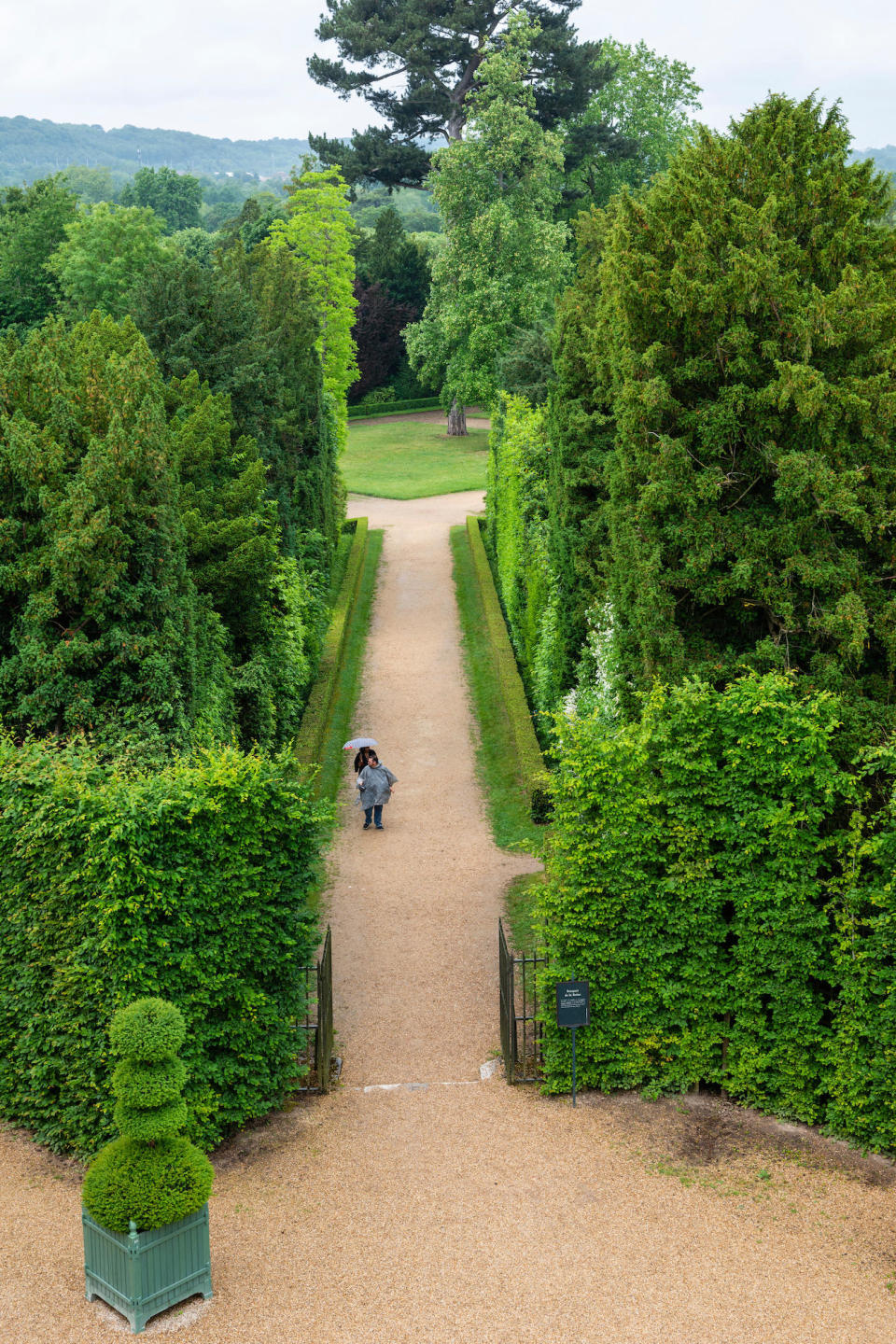 The path leading to the Queen's Grove before the renovations began.