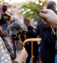 <p>A priest blesses a dog during the celebrations of Sant Antoni del Porquet in Valencia, eastern Spain, Jan.17, 2018. (Photo: Juan Carlos Cardenas/EPA-EFE/REX/Shutterstock) </p>