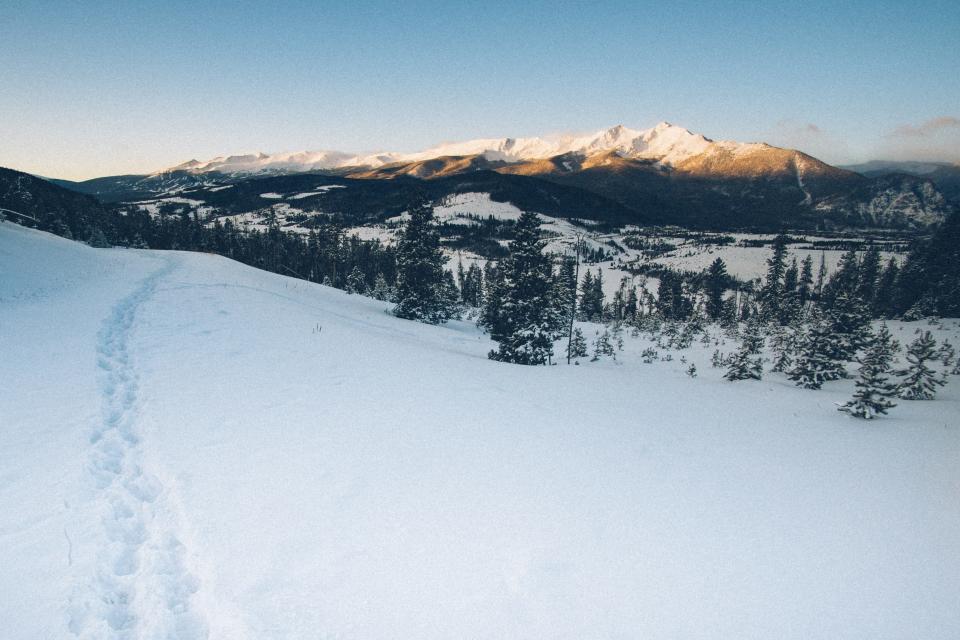 A trail in Colorado.