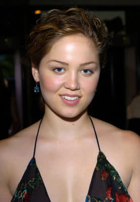 Erika Christensen at the Beverly Hills premiere of DreamWorks' The Terminal