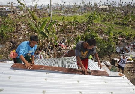 Ravaged coconut trees and wrecked houses are seen as workers remove rusty corrugated iron roofing from the reconstructed house of Roberto Retanal (bottom R), after it was damaged by super typhoon Haiyan, in Palo, Leyte province, central Philippines December 20, 2013. REUTERS/Romeo Ranoco