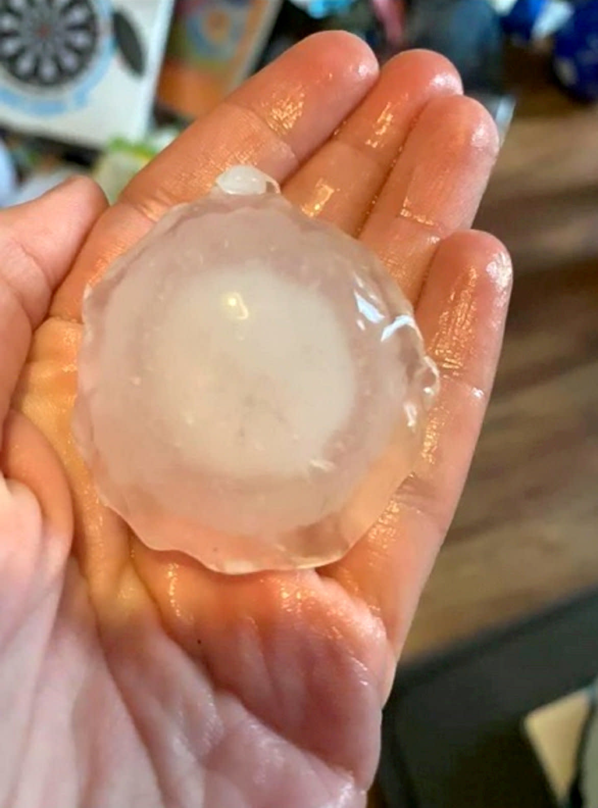 Hail that hit Kevin Messenger's car.  Hail the size of golf balls fell in a thunderstorm damaging cars and smashing windows as extreme heat warnings stayed in place across England.  The hail storm hit Leicestershire around 18.15 BST, July 20, 2021, with some car windows obliterated.  See SWNS story SWMDhail.  July 21, 2021. 