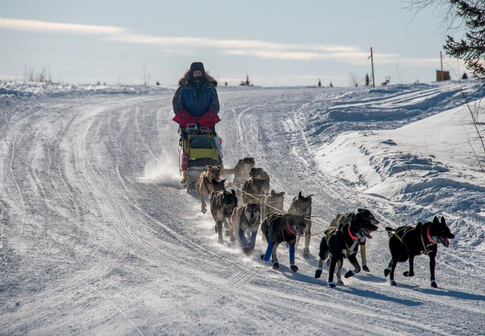 An Iditarod dog team arrives at a checkpoint in Huslia, Alaska, during the famous race.