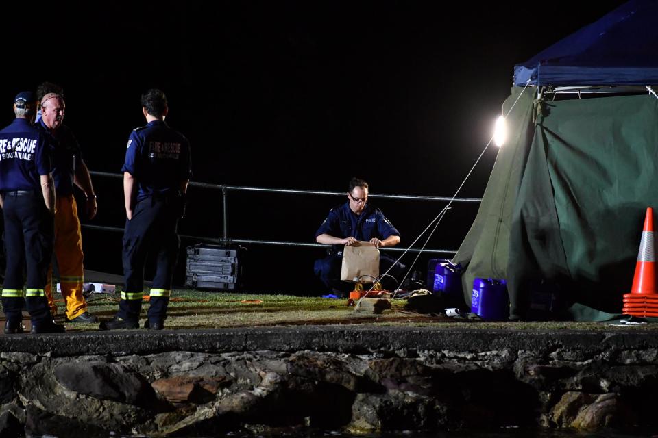 Emergency services at the scene of a seaplane crash at Apple Treet Bay: EPA