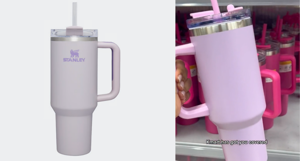 Kmart's jumbo tumbler (right) and a Stanley Cup in a similar colour (left).