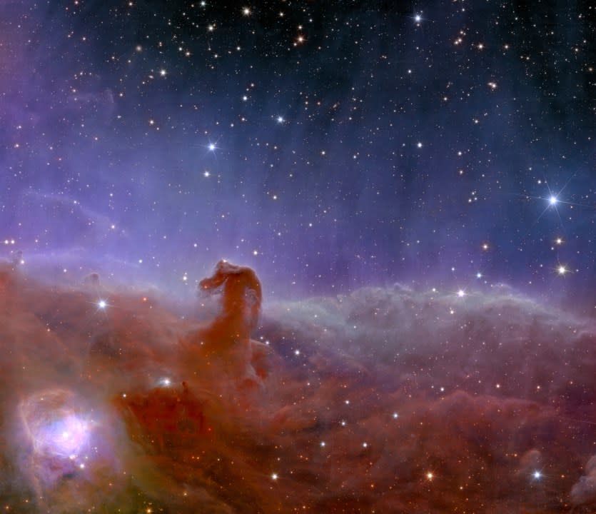 This image provided by the European Space Agency shows Euclid’s panoramic view of the Horsehead Nebula. (European Space Agency via AP)