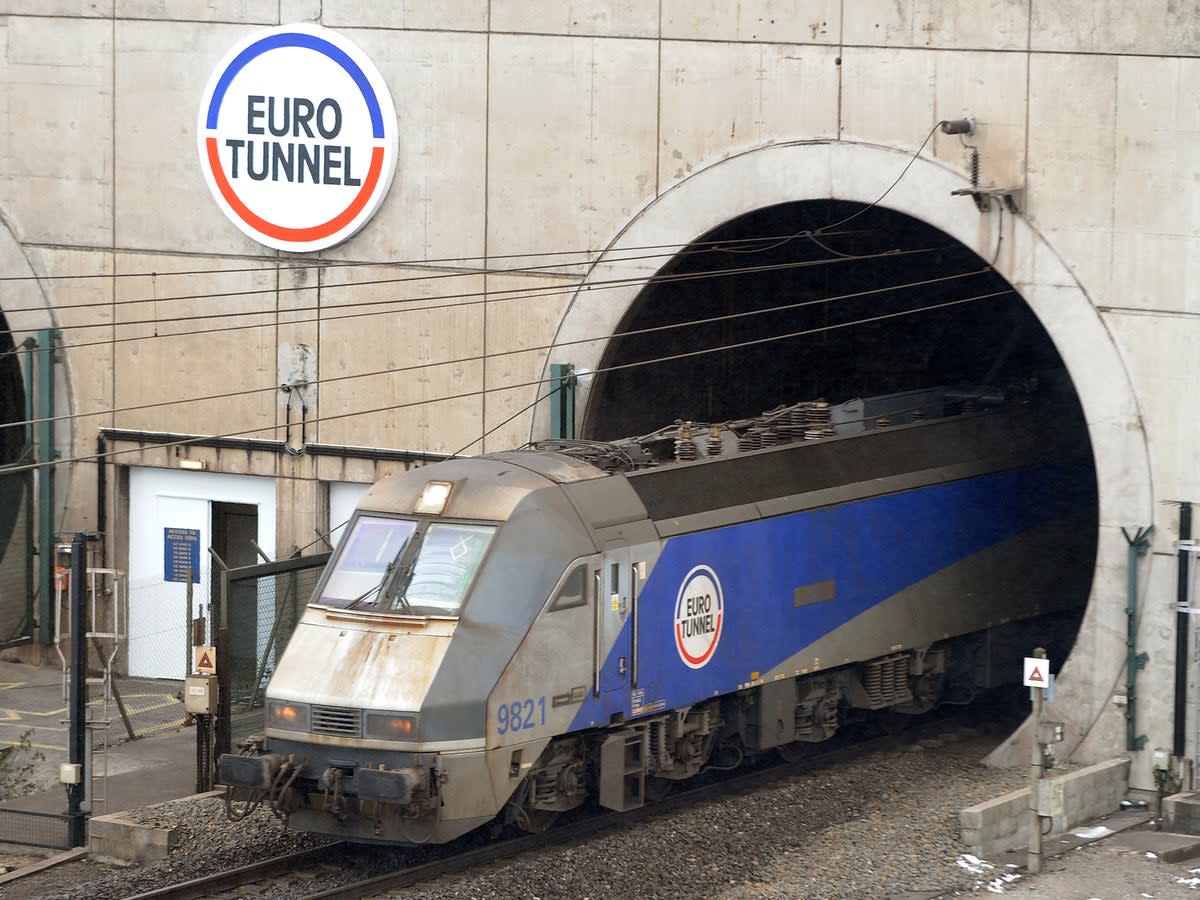 LeShuttle train between Calais and Folkestone (AFP/Getty Images)