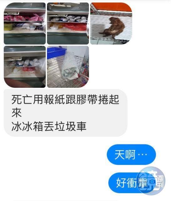 民眾向民代投訴，業者未將死亡的幼犬妥善處理。