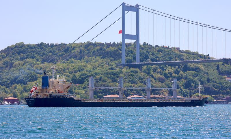 FILE PHOTO: Russian-flagged bulk carrier Matros Pozynich sails in Istanbul's Bosphorus