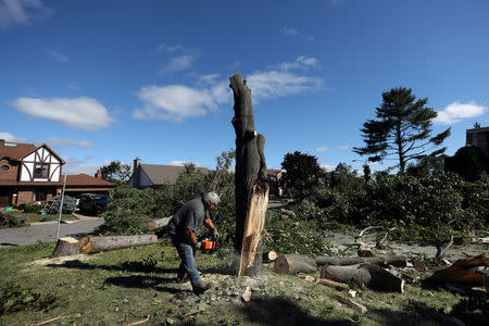 A man cuts a damaged tree after a tornado hit the Mont-Bleu neighbourhood in Gatineau, Quebec, Canada, September 22, 2018. REUTERS/Chris Wattie