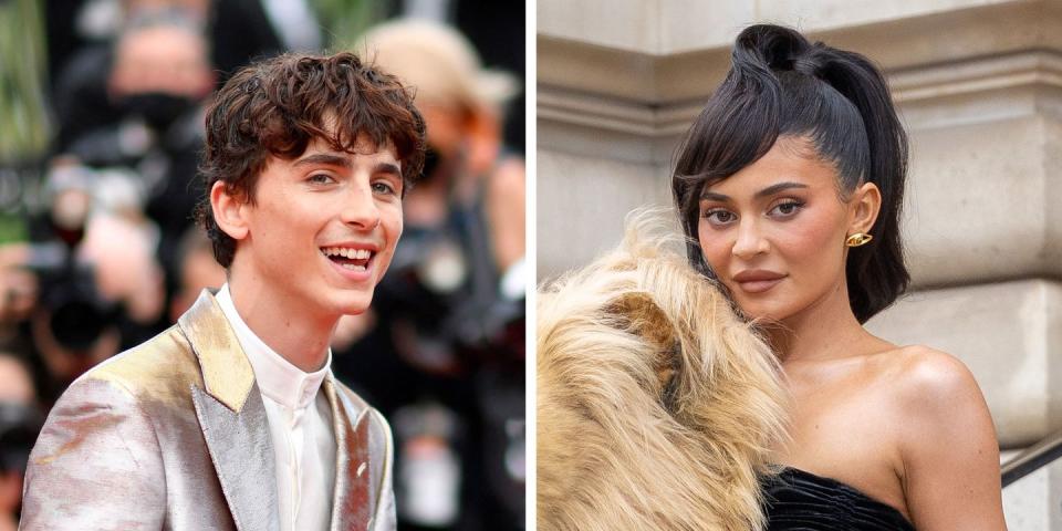 timothée chalamet and kylie jenner