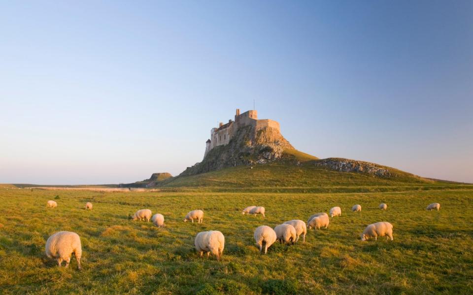 Lindisfarne Castle - Getty