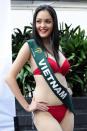 Miss Earth Vietnam Do Hoang Anh