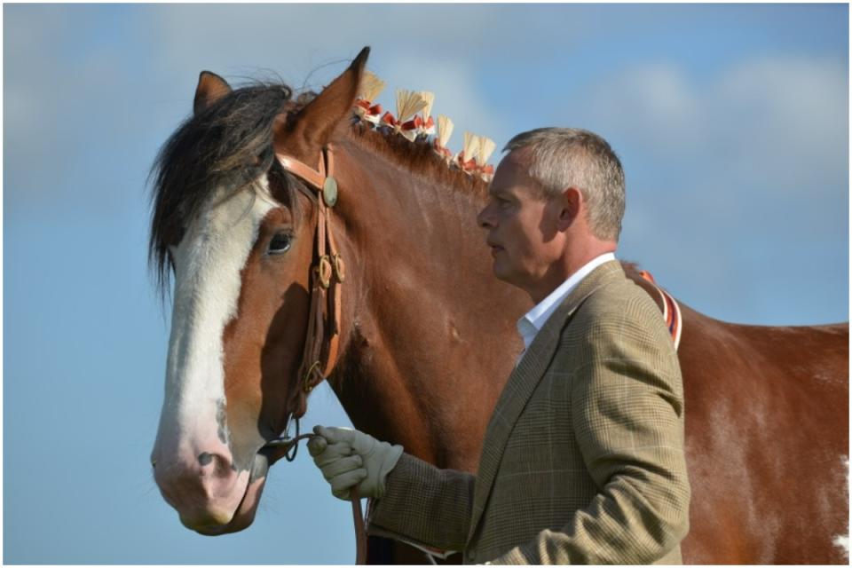 Martin Clunes 