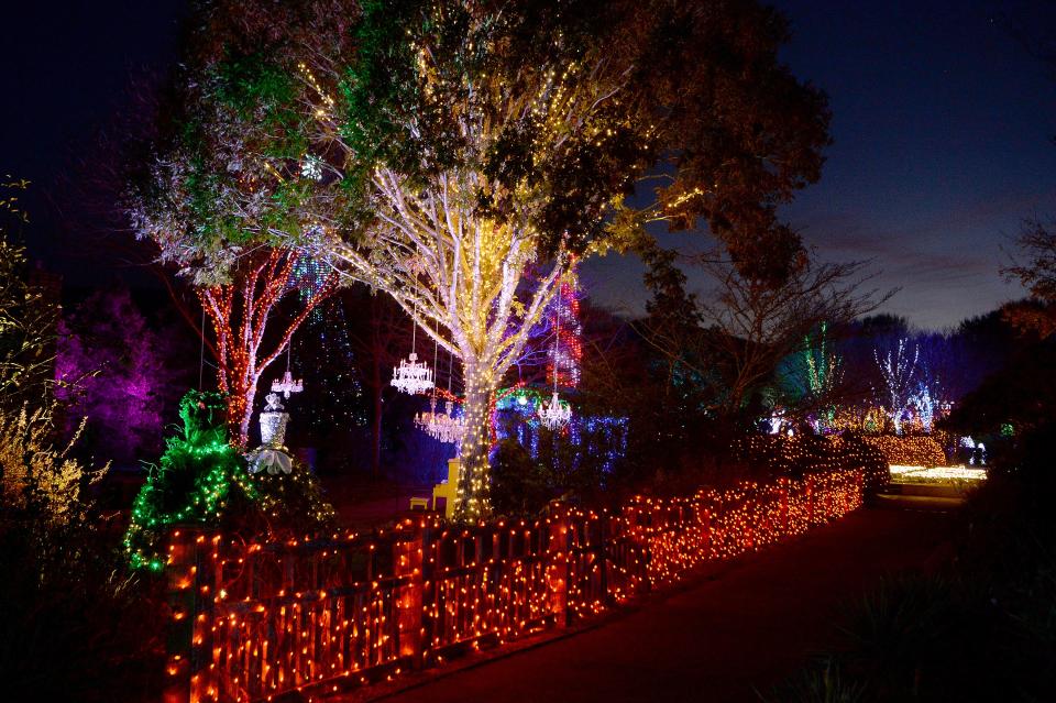 The North Carolina Arboretum's annual Winter Lights show will be open nightly through the end of the year featuring numerous festive displays using more than 500,000 LED bulbs. 