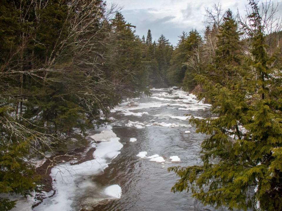 The French River is the water supply for the Tatamagouche area. The province has approved the municipality's request to have the watershed designated a protected zone. (Robert Short/CBC - image credit)