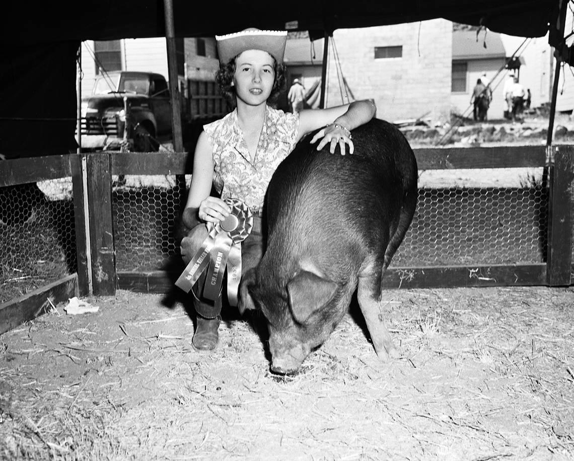 Sept. 13, 1952: Aletha McGowan, daughter of Mr. and Mrs. R.E. McGowan, with her Duroc gilt judged champion at the Keller Fair. Fort Worth Star-Telegram archive/UT Arlington Special Collections