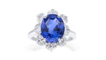 <p><strong>Oscar Heyman</strong></p><p>oscarheyman.com</p><p><a href="https://www.oscarheyman.com/jewelry/rings/platinum-5-68ct-unheated-ceylon-sapphire-entourage-ring/" rel="nofollow noopener" target="_blank" data-ylk="slk:Shop Now" class="link ">Shop Now</a></p><p>An unheated Ceylon sapphire takes center stage in this oval diamond ring. Just as Diana's, it has staying power on its own and needs no accompaniment. </p>
