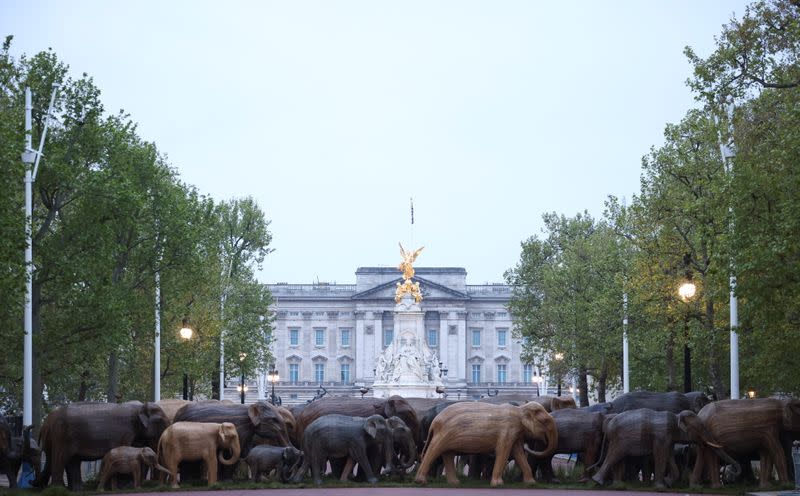 Life-size elephant sculptures are paraded down the Mall in London