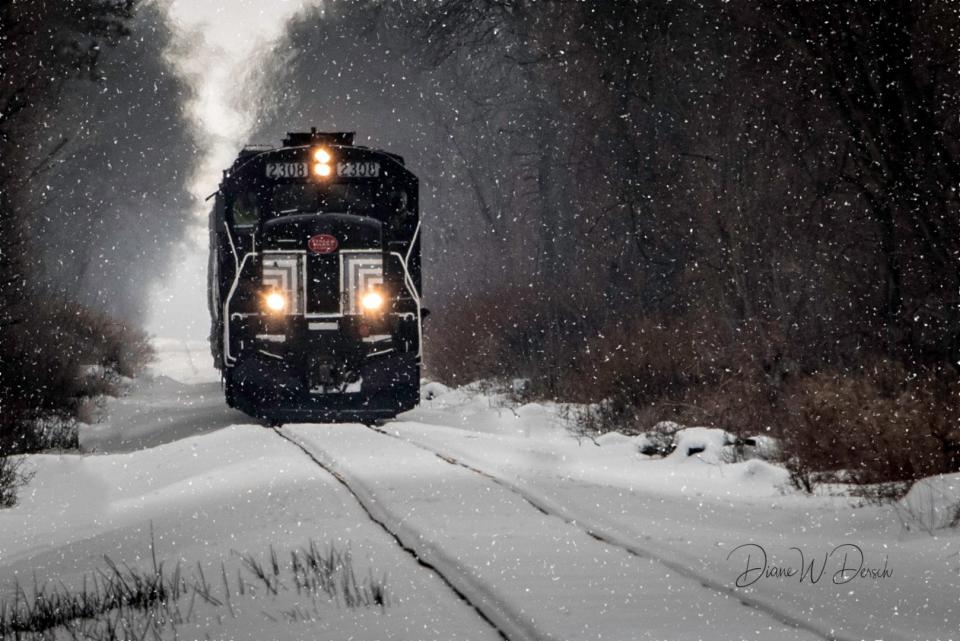 "Snow Train" by Diane Dersch.