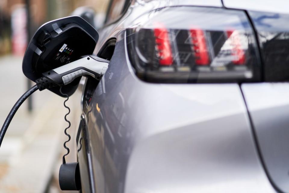 Whether private demand for electric vehicles is falling is a topic of hot debate in the automotive industry.