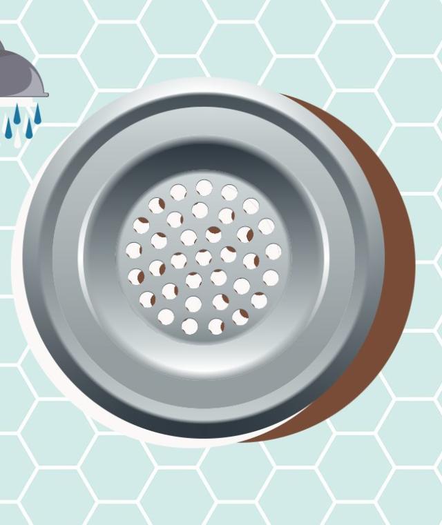 Why Does My Shower Drain Smell?