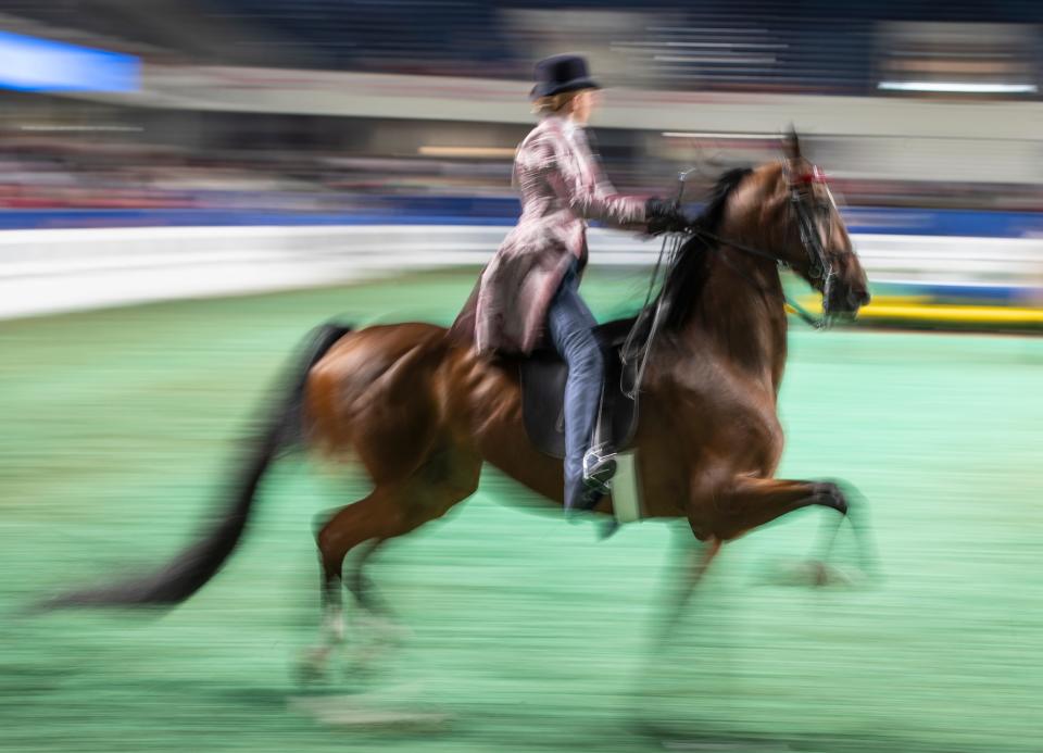 Abby Besch, 12, participated in the Junior Exhibitor Three-Gaited Country Pleasure competition at the World Championship Horse Show at Louisville's Expo Center. Aug. 22, 2022